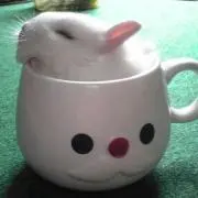 うっさー