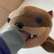 りな