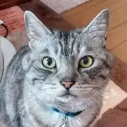 まろ吉　(◕ᴥ◕)の画像