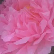 ぴぴぴ