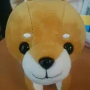 ころきち