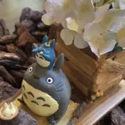 Mei-Kazu