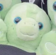 いぬの画像