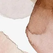 Na_購入前プロフィール一読願いますの画像