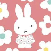 みっぴぃの画像