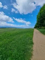 くまの画像