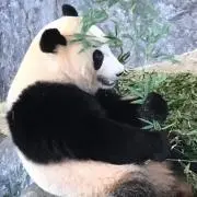 ひろみん