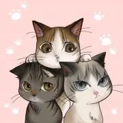 nyan shop