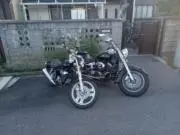 ぴっぴ