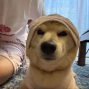 ゆるーるの画像
