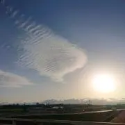 srautskの画像