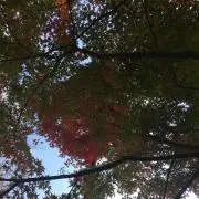 かますこ