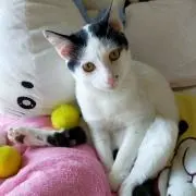 ♥777♥