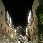 kitanoの画像
