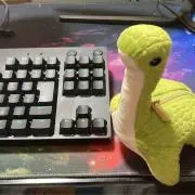 しゃがちゃんの画像