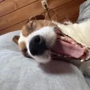 えみの画像
