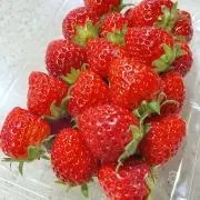 あいまま♪断捨離SALE中の画像