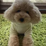 coco family☘️の画像