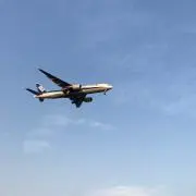 いぬた