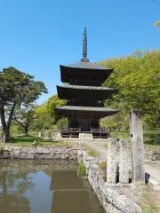 ひろぴの画像