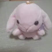 ももたんくん
