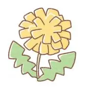 たんぽぽの画像