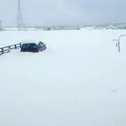 イギー