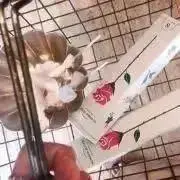 mini ☺︎プロフ必読☺︎の画像