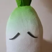 だいこん☆説明文読んでください