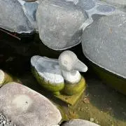 ねこねこ//の画像