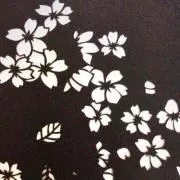 菊