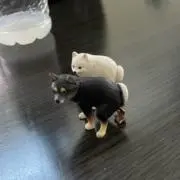 つつつの画像