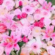 ☆ byeol ☆の画像