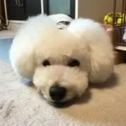 ★タニ★の画像