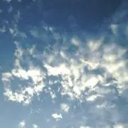 みぃ