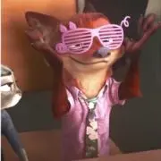 Adgupwの画像