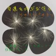 ☆ケサランパサラン☆の画像