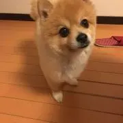 けいこの画像