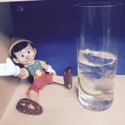メメントの画像