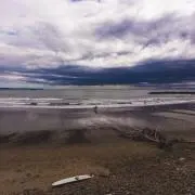 蔵太郎の画像