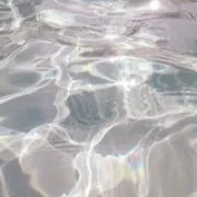 illi..の画像