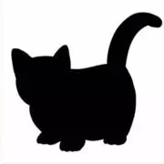 お急ぎ対応できませんの画像