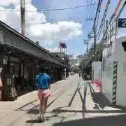 アロの画像