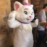 coの画像