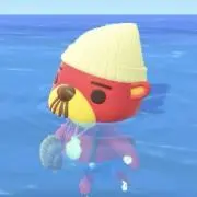 ぷりんの画像