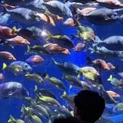 いーさん☆。.:＊・゜