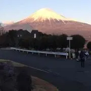 はむ