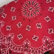 スキップ