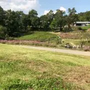♪♪♪♪♪の画像