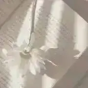 ＊mana＊の画像